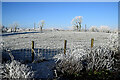 A frosty hill, Fireagh (Thompson)