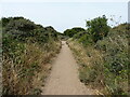 TF4888 : Beach access track from Crook Bank carpark by Richard Law