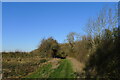 Bridleway approaching Kinoulton Gorse