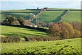 Pasture, Gwennap