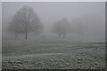 TQ4771 : Fog and frost at Foots Cray Meadows by David Martin