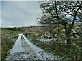 Footpath beyond Admergill Hall