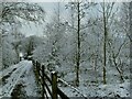 Track to Star Hall Farm in the snow