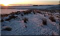 Snowy Fortisset Road