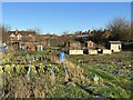 Coton Fields Allotments