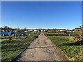 Middle Walk, Coton Fields Allotments