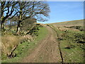 Track near Longlands