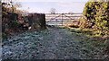 Gate and stone step stile across footpath from Allen Grove to Warwick Mill