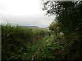 Shropshire  Way  on  the  outskirts  of  Clun