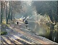 Narrowboats moored along the Staffordshire and Worcestershire Canal