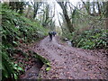 SN2910 : Llwybr ger Skerry House / Path near Skerry House by Alan Richards