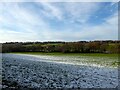 Rocky Field