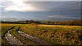 Farm track off Spout Lane