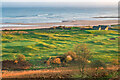NU2510 : Golf course, Alnmouth Village Golf Club by Ian Capper