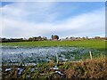 Furnace Three Acres/Burnt House Field