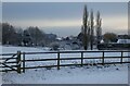 Pasture, Amersham