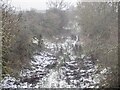 Berwickshire Railway trackbed