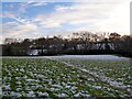 House Meadow