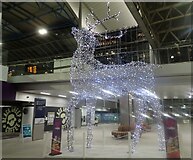 TQ3079 : Christmas at Waterloo station by Marathon