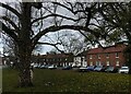 Blyth Village Green