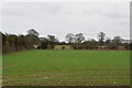 Field by Binbury Lane