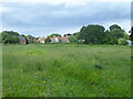 Small field off Church Lane