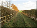 Farm track off Burton Lane