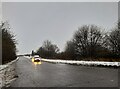 Icknield Way on Dunstable Downs