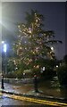 SU9997 : Christmas tree on Burtons Lane, Little Chalfont by David Howard