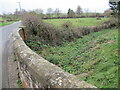 The  overgrown  course  of  the  Gipsey  Race