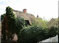 Derelict cottage. Great Dalby