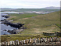 View across Sumburgh from the Head