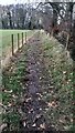 NY4857 : Footpath between fields NE of Corby Hill from A69 to Newby Bridge by Luke Shaw