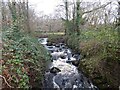 Nant Pedol at Brynarfon