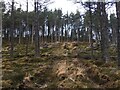 NH4847 : Forestry on Creag na Manachainn by Steven Brown