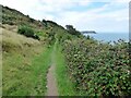 Ceredigion Coastal Path