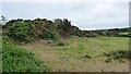 Southern rampart of Castell Bach Promontory Fort