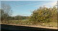 Looking north off the railway line, between Harold Wood and the M25