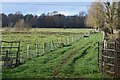 Grassy track across meadows beside the Test Way