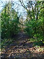 Burwash 13 Public Footpath