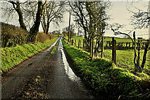 H5572 : Stoneleigh Road by Kenneth  Allen