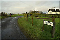 H5572 : Roeglen Road, Bracky by Kenneth  Allen