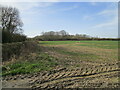 Muddy field entrance and Gartree Hill