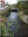 The Keward Brook from Rowden Road bridge