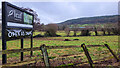 Towards Hope Wood