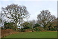 Windsor Avenue Playing Fields in Penn Wolverhampton