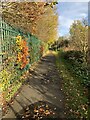 Footpath beside Chopwell Primary School