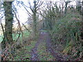 Llwybr ger Llys Newydd / Path near Llys Newydd