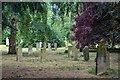 Fulham : Fulham Cemetery