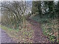 Stepped public footpath